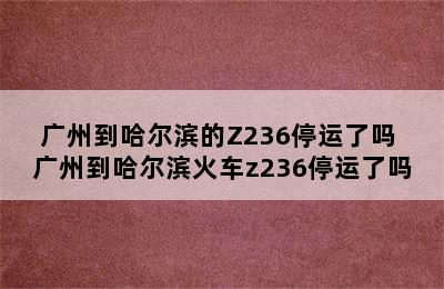 广州到哈尔滨的Z236停运了吗 广州到哈尔滨火车z236停运了吗